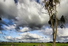 澳大利亚男篮勇夺季军，收获令人赞叹的成绩