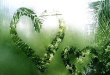 欧洲杯赛程安排：决赛将于7月11日在伦敦举行