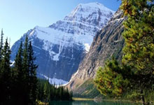 雄鹿队成功逆转魔术，取得关键胜利