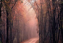 乌克兰欧预赛两连胜，欧锦赛小组头名