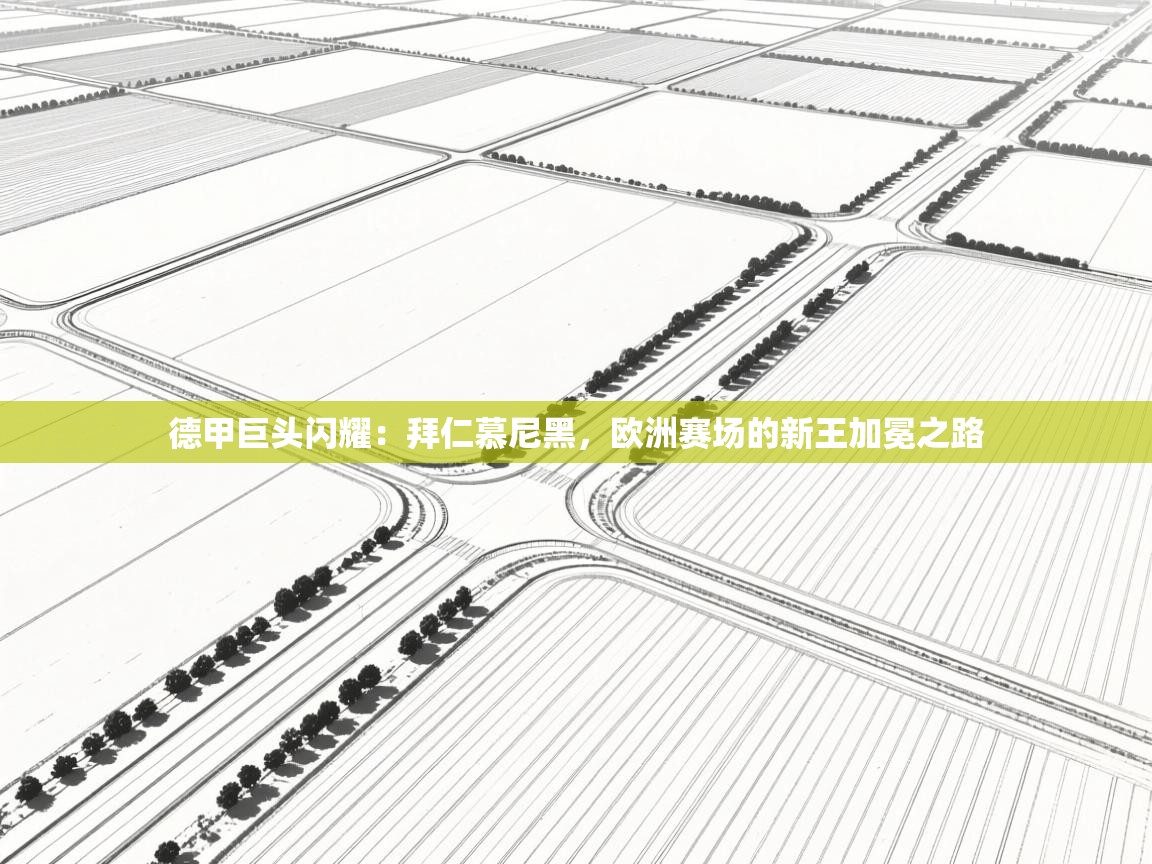 德甲巨头闪耀：拜仁慕尼黑，欧洲赛场的新王加冕之路  第2张