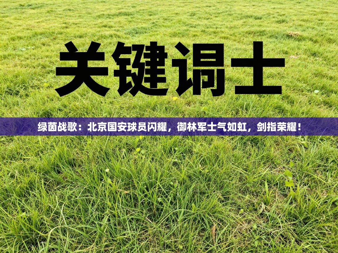 绿茵战歌:北京国安球员闪耀,御林军士气如虹,剑指荣耀! 第2张